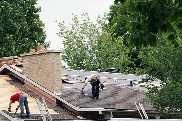 Best Roof Maintenance Services  in Forest City, FL