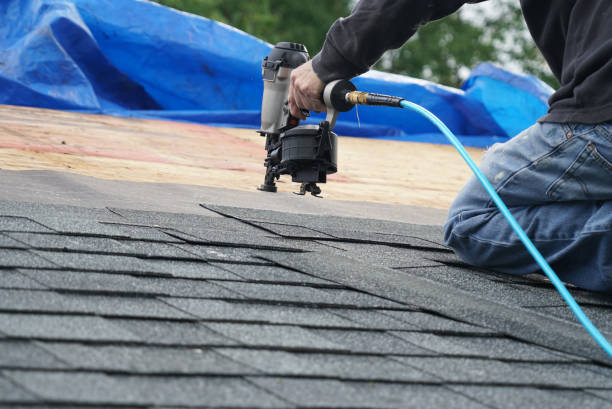 Best Storm Damage Roof Repair  in Forest City, FL